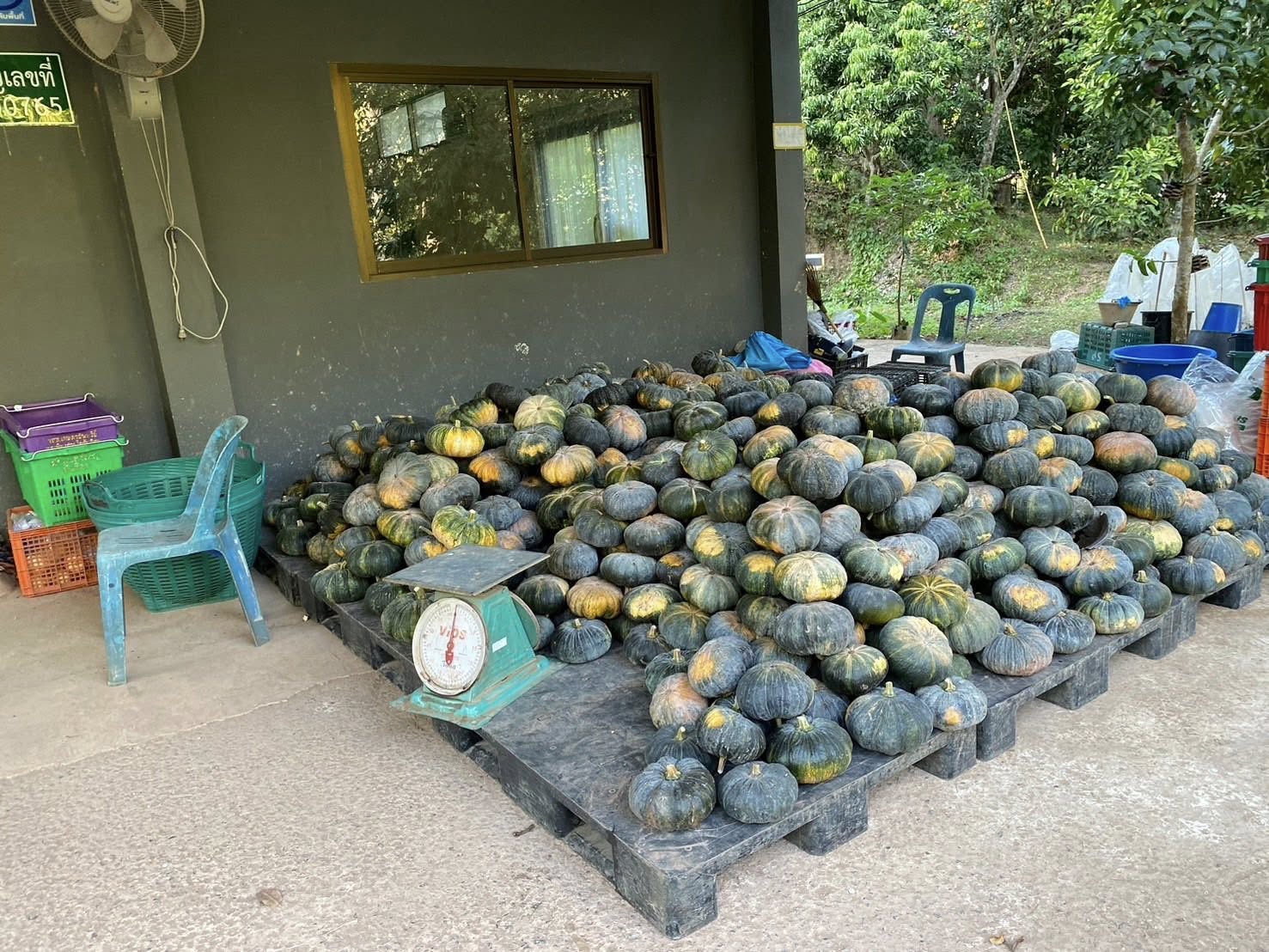 title - หัวหน้าผู้ตรวจราชการ ส.ป.ก. (เขต 3,15 และ 16) ประชุมตรวจติดตามความก้าวหน้าการดำเนินงานตามแผนงานตรวจราชการ ประจําปีงบประมาณ 2569 รอบที่ 1 ณ จังหวัดน่าน